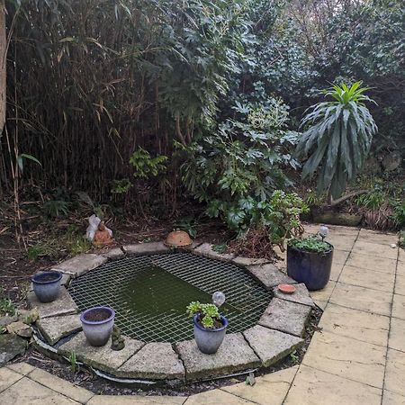 The Garden Apartment St Ives Exteriör bild