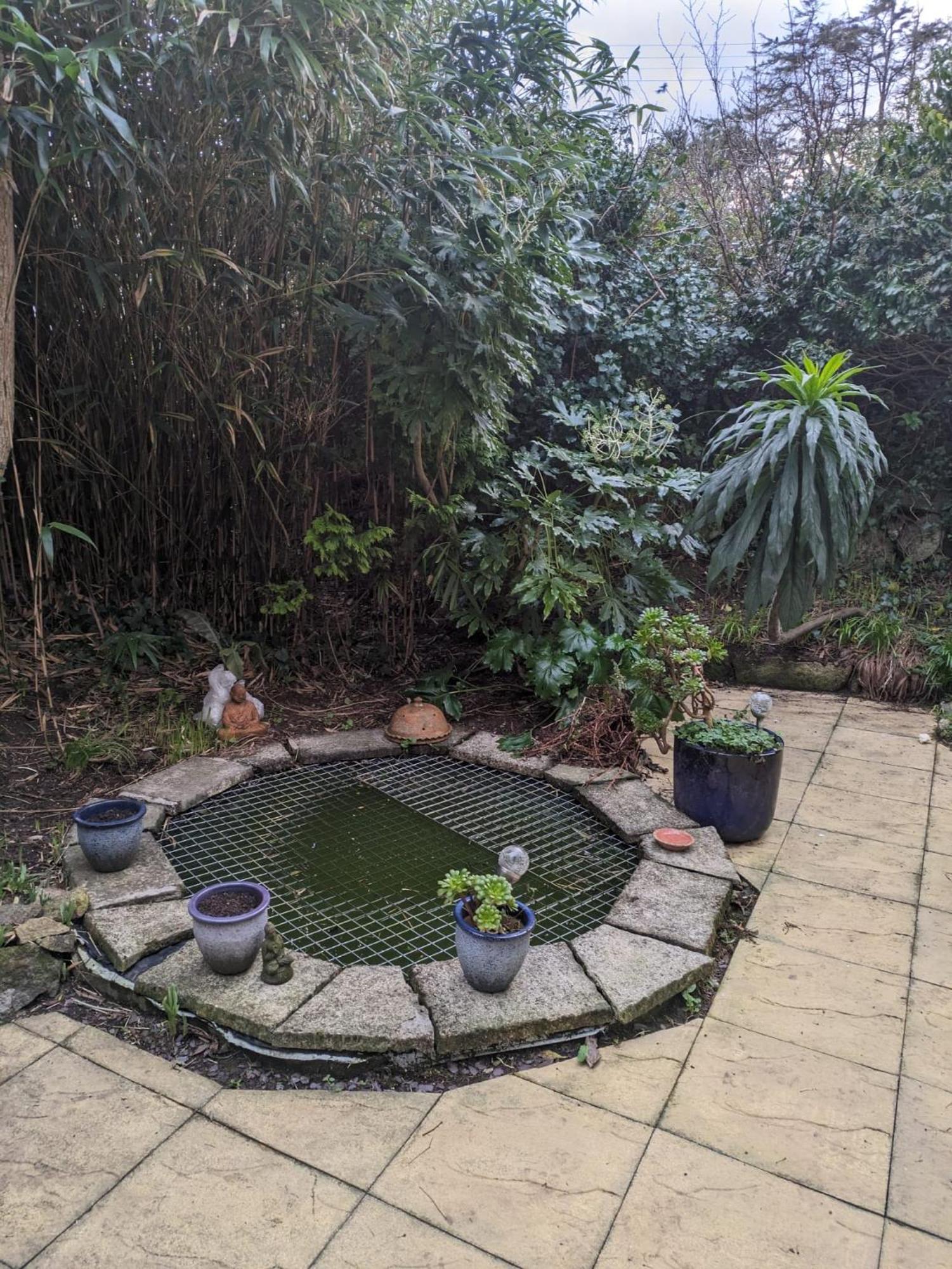 The Garden Apartment St Ives Exteriör bild